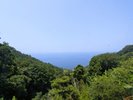 お部屋の窓からは駿河湾を一望