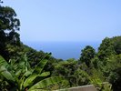お部屋の窓からは駿河湾を一望