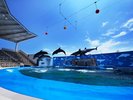 仙台うみの杜水族館