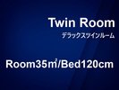 デラックスツイン
