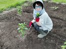【PACO農園】私たちの手で野菜を育てています。収穫した野菜は朝食で提供いたします♪