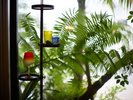 【フロント・ロビー】緑豊かな植栽に映える琉球ガラスのオブジェ