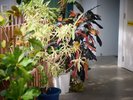 【内観】緑あふれる館内でチェックインからリゾート気分
