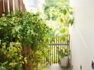【内観】自然光と植物が調和する心地よいアプローチ