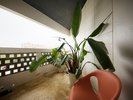 【トリプルルーム てぃーちの部屋/45u/禁煙】自然を感じるバルコニーで開放的なひとときを