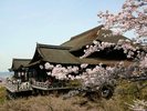 清水寺/市バス+徒歩(約25分)