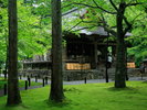 三千院/地下鉄+京都バス+徒歩(約70分)