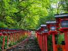貴船神社/地下鉄+京都バス+徒歩(約60分)