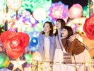 伊豆高原グランイルミ