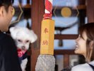 神祇大社