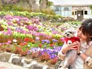 ニューヨークランプミュージアム&フラワーガーデン