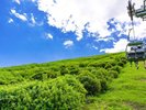 大室山 リフト