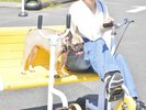 伊豆ぐらんぱる公園
