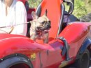 伊豆ぐらんぱる公園