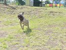 伊豆ぐらんぱる公園