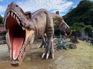 伊豆ぐらんぱる公園