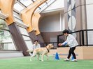 室内プレイスペース