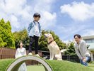 dog park