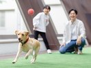 屋内プレイスペース