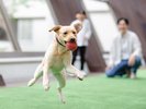 屋内プレイスペース