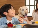レストラン利用イメージ