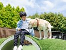 dog park