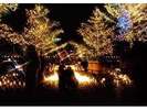 �L�����h���C���~�l�[�V����IN���C����12/24�J��