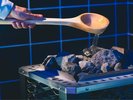 インドアサウナ(有料)