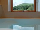 MOEGI 水面に映る逆さ大室山