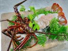 伊豆産伊勢海老お造り