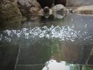 露天風呂は遠赤外線効果のある岩風呂で身体の芯からポカポカ