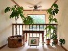 2階の風景 遥か天城連山を望む