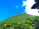当館よりの大室山