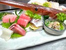 伊東港水揚げの新鮮なヤガラ