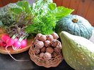 地場野菜