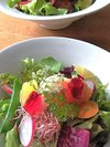 地場野菜サラダ
