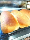 焼きたてパン