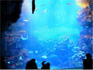 京都水族館(電車やバスで約30分)