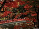 香嵐渓