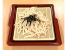 ざるうどん