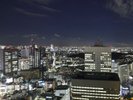 窓一面に広がる