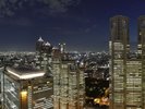 東京の大パノラマを