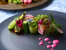 【2026年6月〜8月】洋食スタンダードイメージ