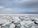 オホーツク海側では流氷が見れることも 見ごろは2月上旬〜3月上旬