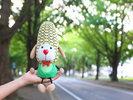 北海道大学