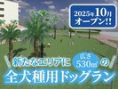 2025年オープン|全犬種用ドッグラン