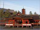〜世界遺産〜厳島神社世界遺産にも登録されており全国に約500社ある厳島神社の総本社になります