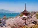 春の広島旅は満開の桜が咲き誇る宮島をはじめ見所満載! 30日割でお得な春旅♪