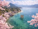 春の広島旅は満開の桜が咲き誇る宮島をはじめ見所満載! 30日割でお得な春旅♪