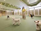 【屋内ドッグラン】愛犬専用入口からスムーズにアクセス可能(イメージ)